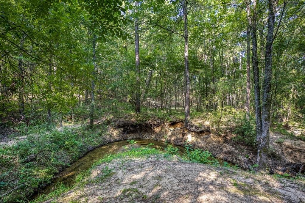 29.7 acres in ANDERSON County - photo 47