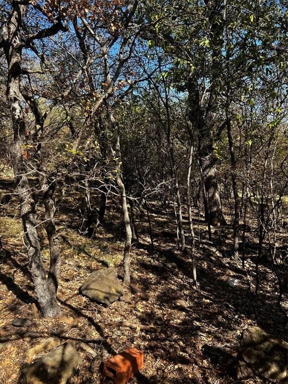 0.32 acres in Palo Pinto County - photo 3