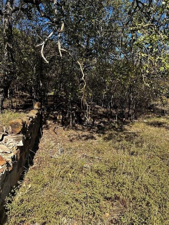 0.32 acres in Palo Pinto County - photo 2