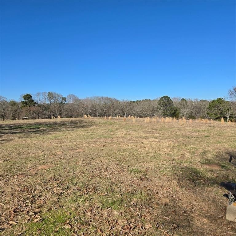 276.35 acres in Smith County - photo 3
