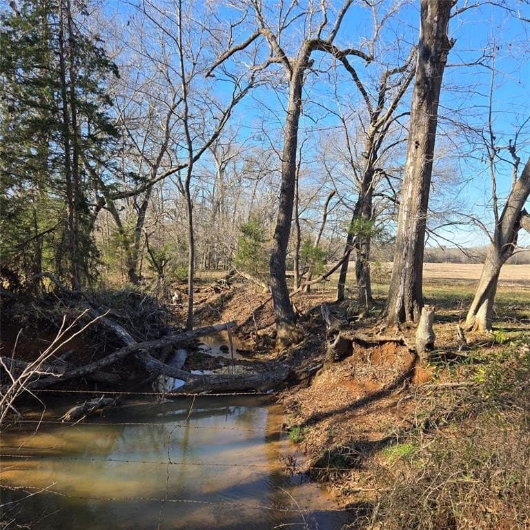 276.35 acres in Smith County - photo 7