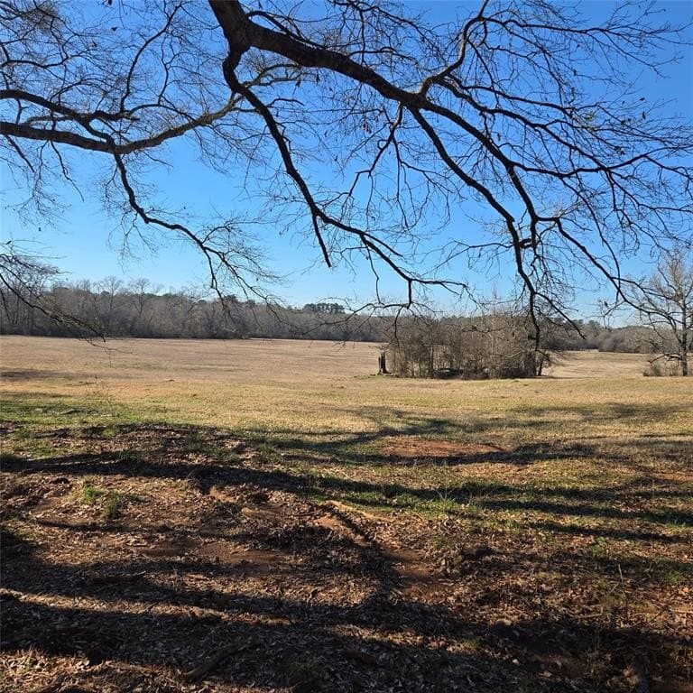 276.35 acres in Smith County - photo 8