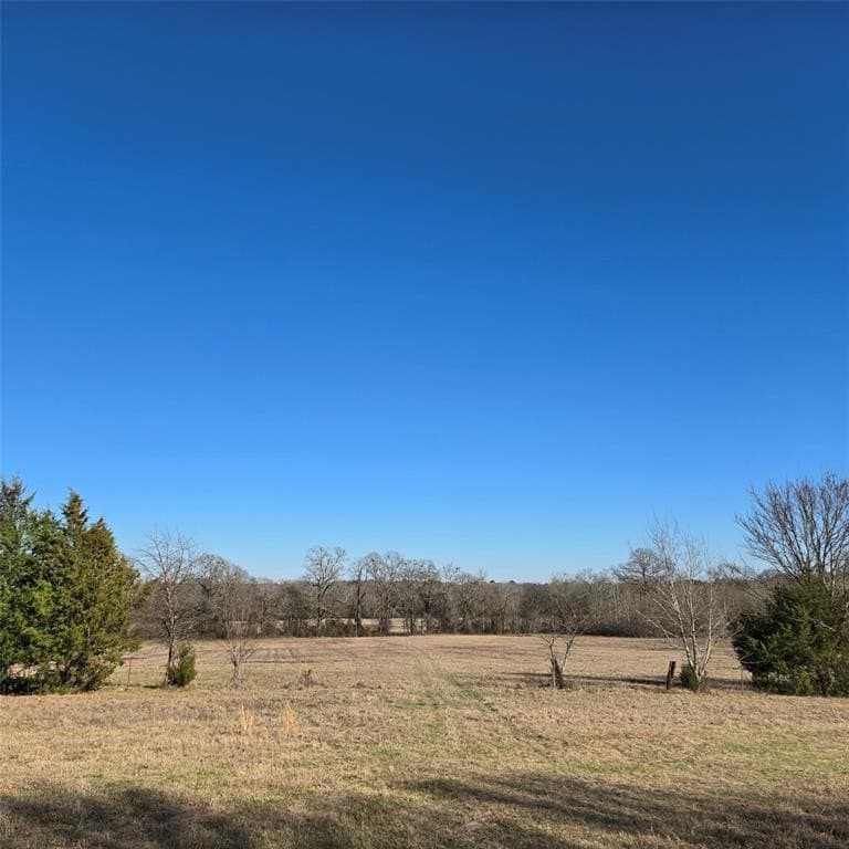 276.35 acres in Smith County - photo 6