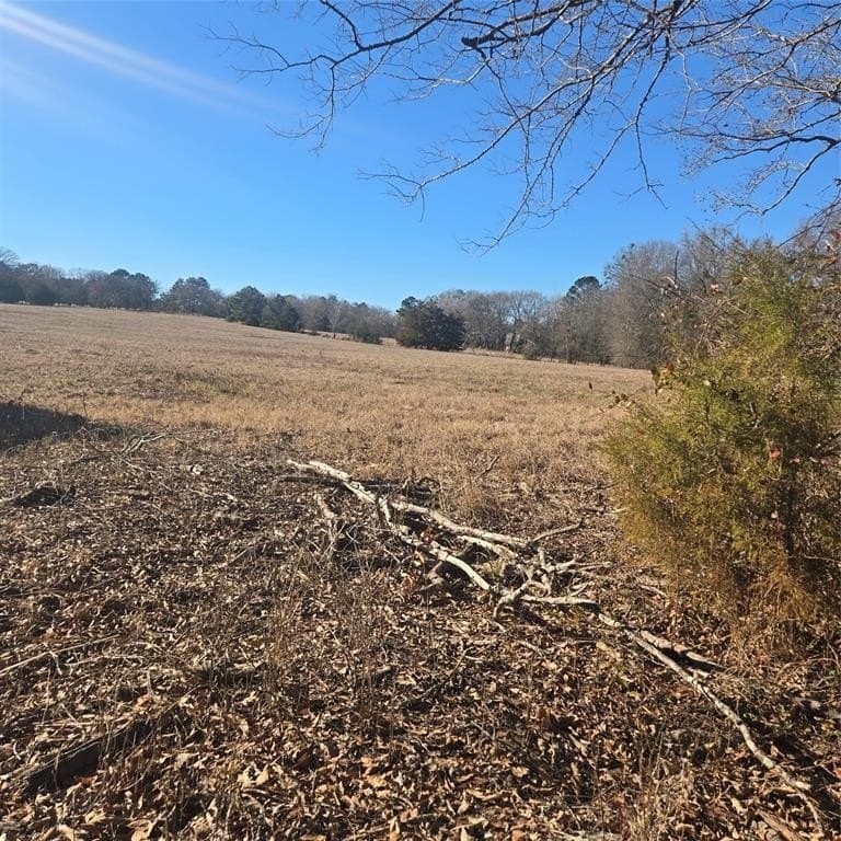 276.35 acres in Smith County - photo 2
