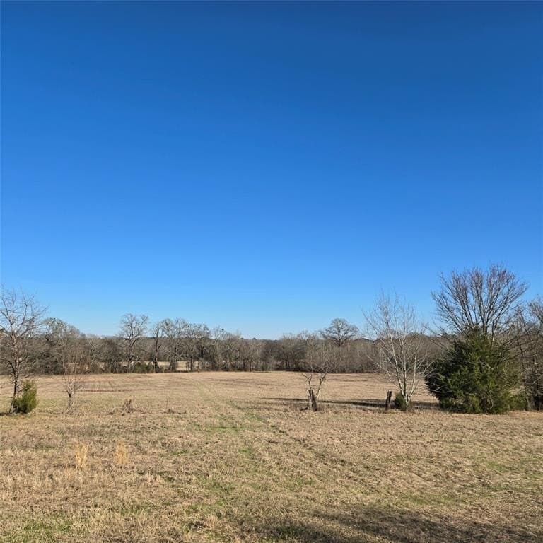276.35 acres in Smith County - photo 4