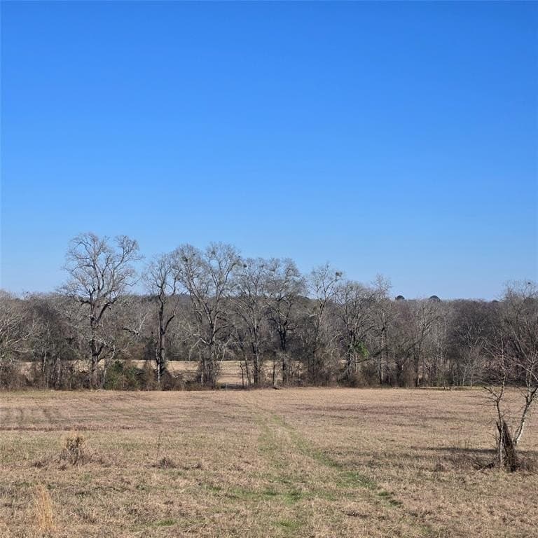 276.35 acres in Smith County - photo 5