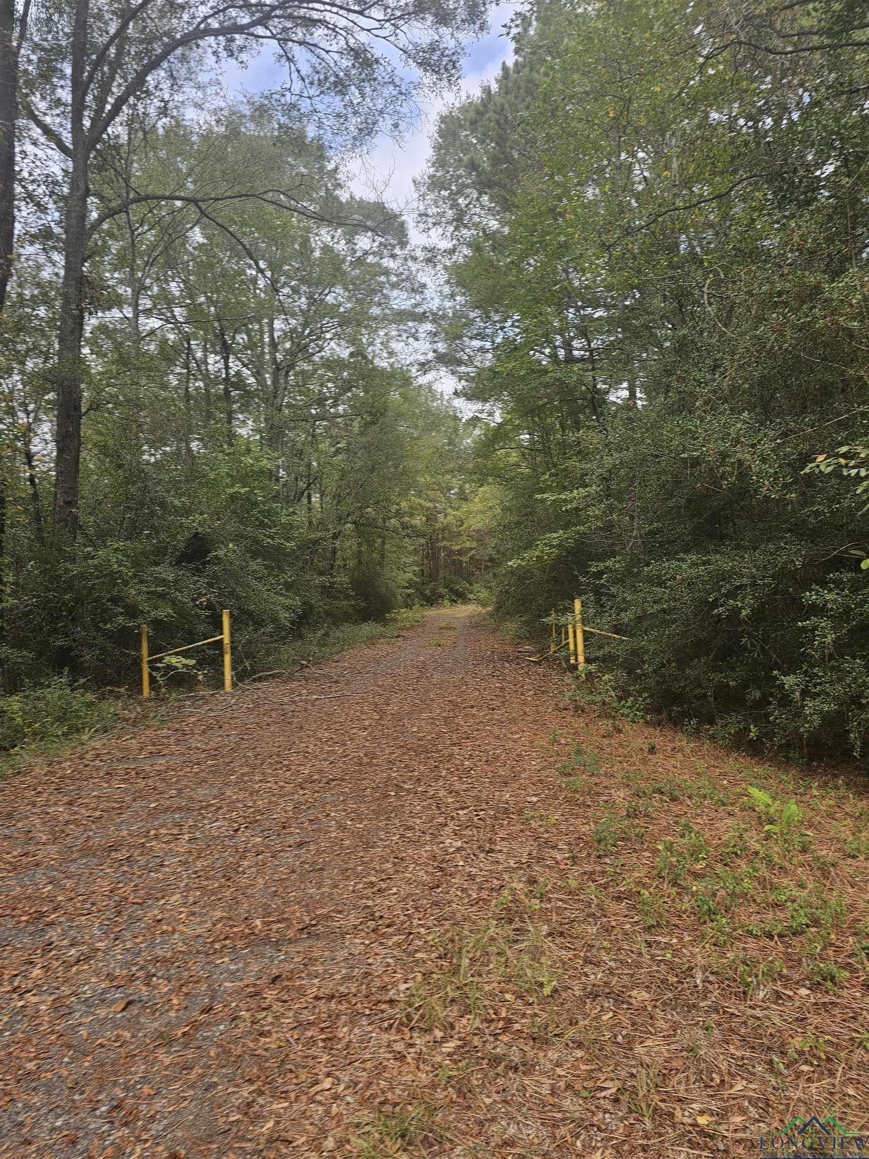 21 acres in Panola County - photo 3