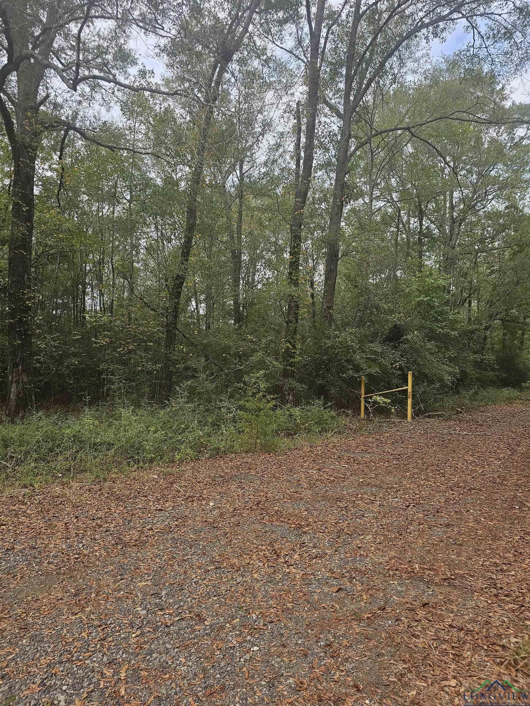 21 acres in Panola County - photo 2
