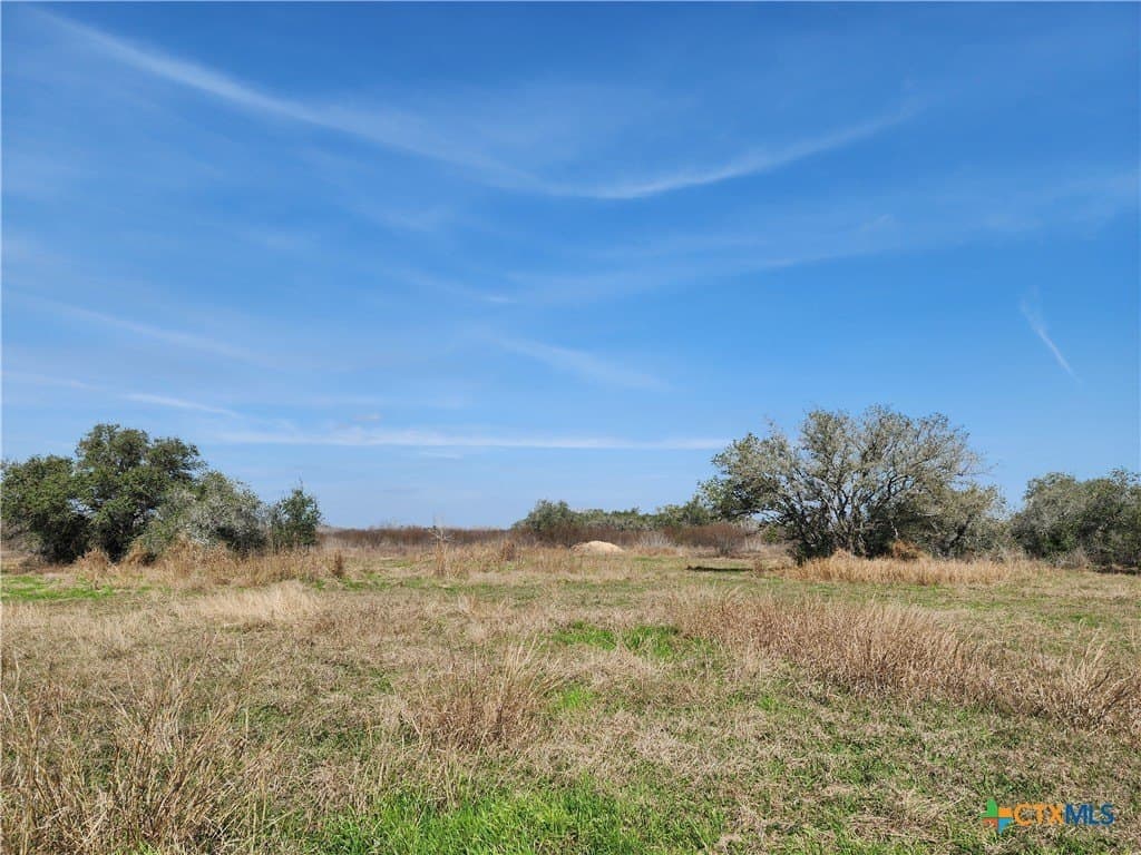 15 acres in Goliad County - photo 4