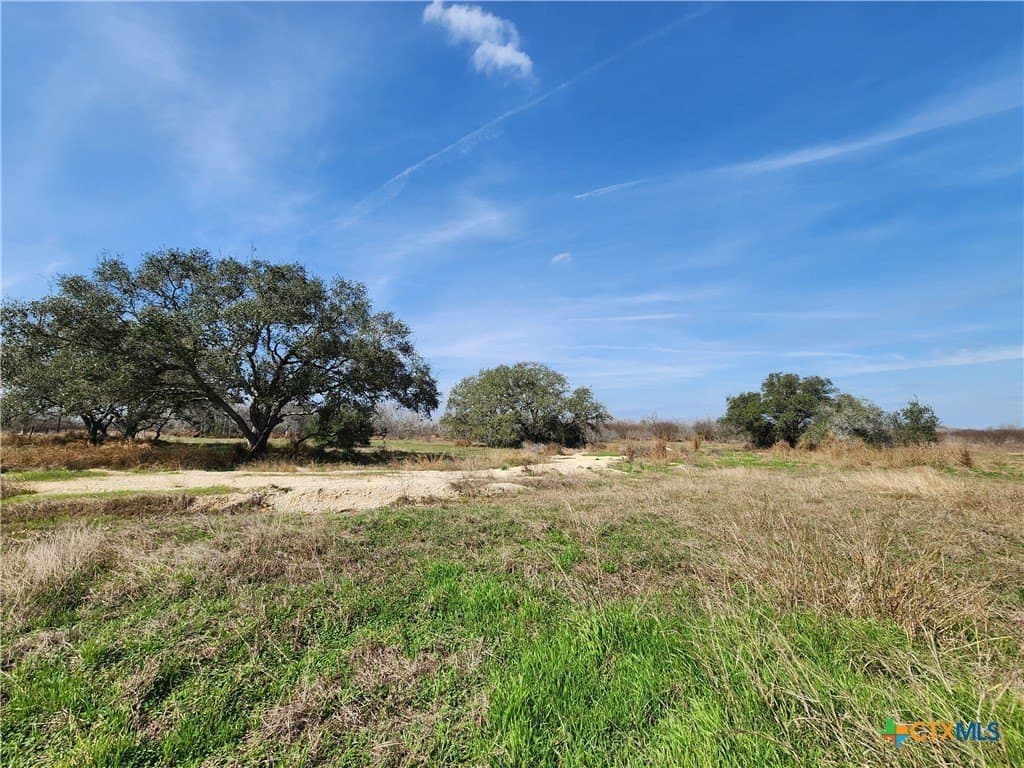 15 acres in Goliad County - photo 2