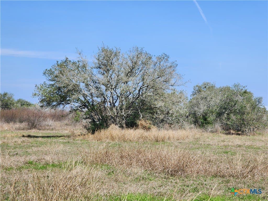 15 acres in Goliad County - photo 3