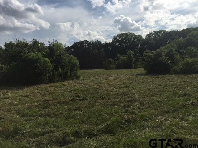25.54 acres in Henderson County - photo 5