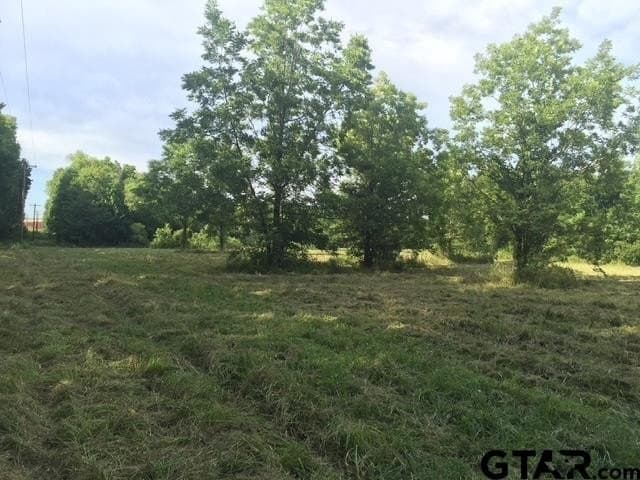 25.54 acres in Henderson County - photo 7