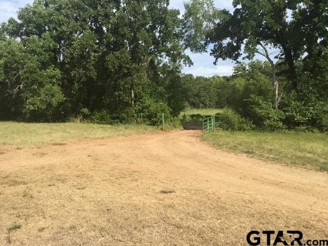 25.54 acres in Henderson County - photo 2