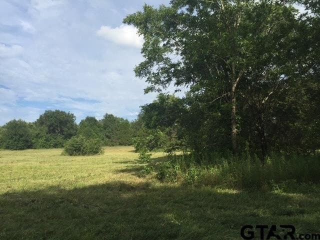 25.54 acres in Henderson County - photo 9