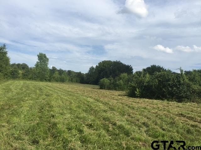 25.54 acres in Henderson County - photo 6