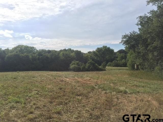 25.54 acres in Henderson County - photo 4