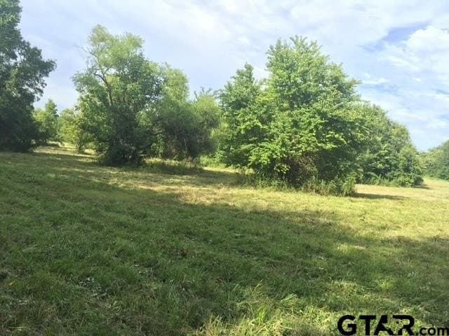 25.54 acres in Henderson County - photo 8