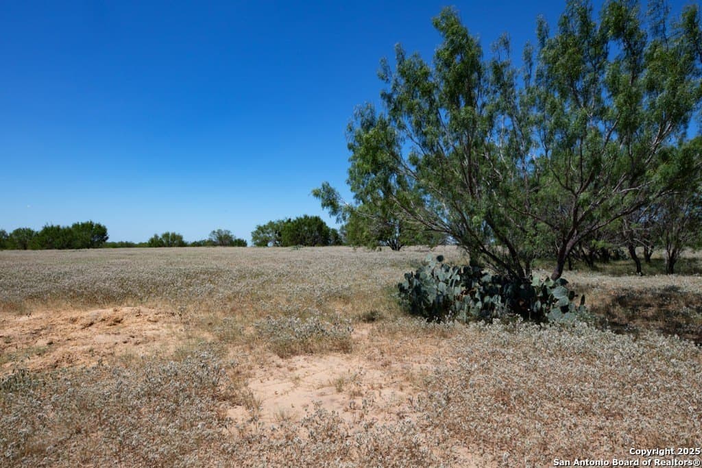 71.5 acres in Bexar County - photo 17