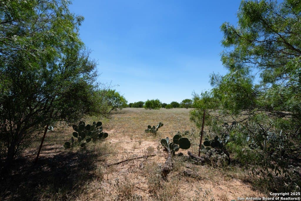 71.5 acres in Bexar County - photo 45