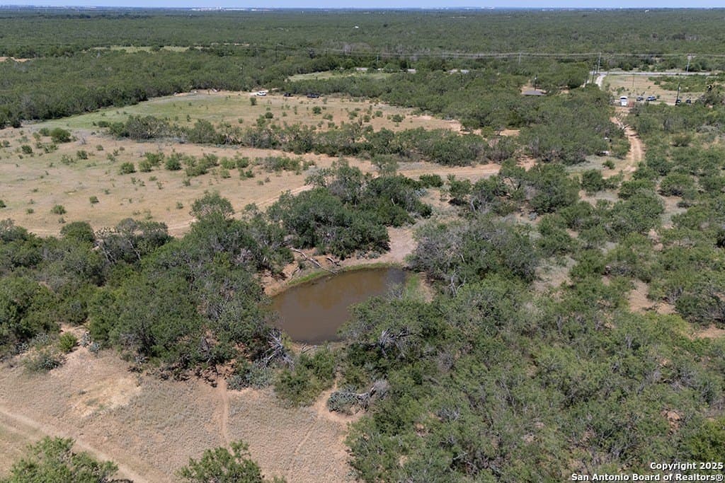 71.5 acres in Bexar County - photo 7
