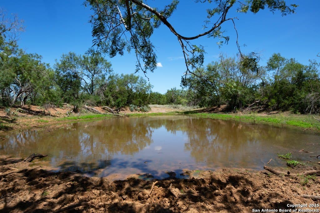 71.5 acres in Bexar County - photo 35