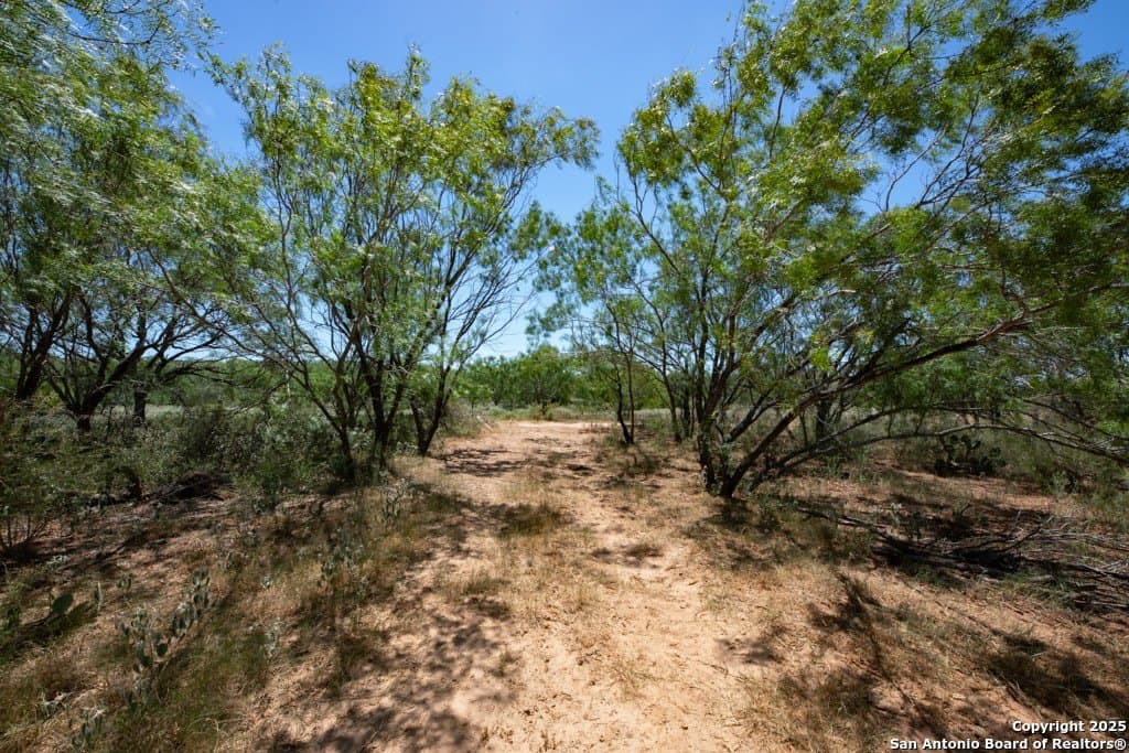 71.5 acres in Bexar County - photo 13