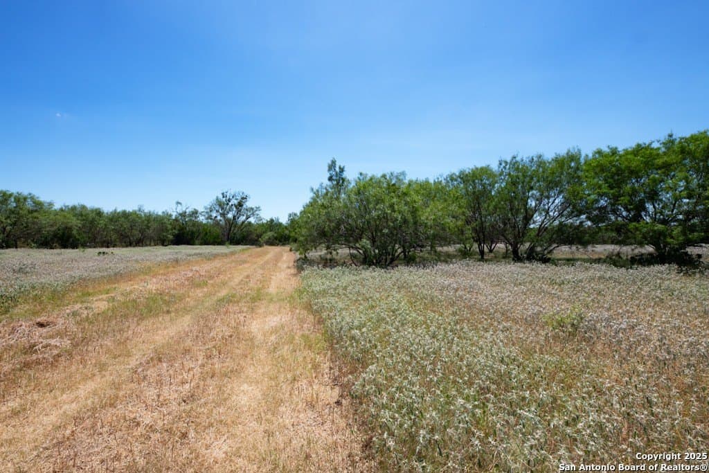 71.5 acres in Bexar County - photo 20