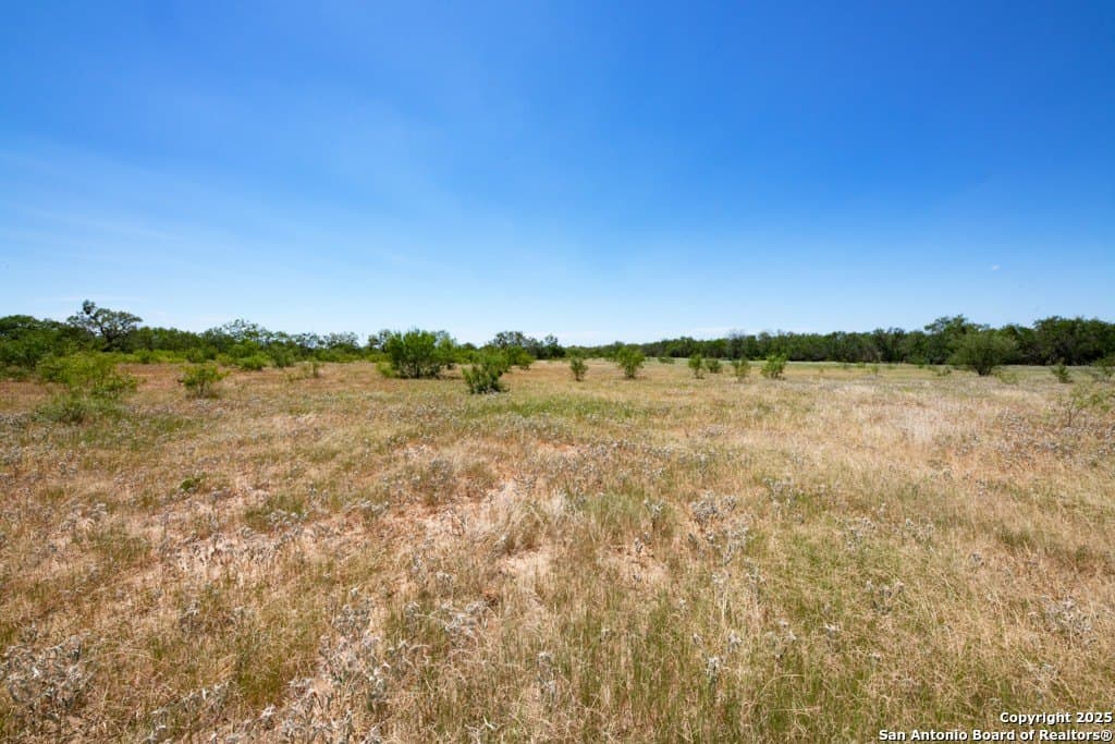 71.5 acres in Bexar County - photo 43