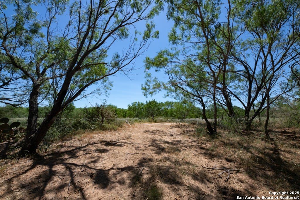71.5 acres in Bexar County - photo 16
