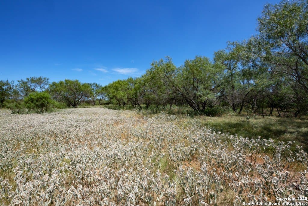 71.5 acres in Bexar County - photo 14