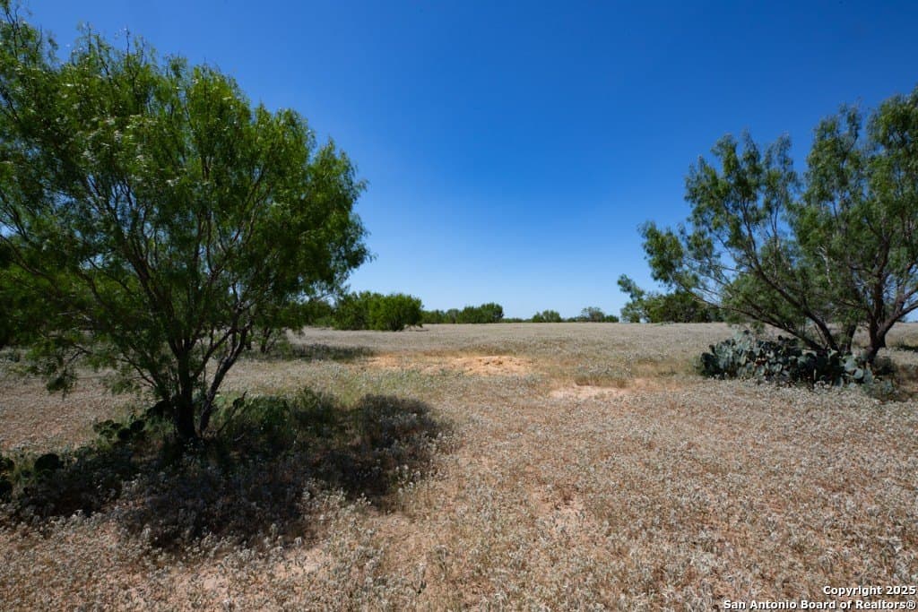 71.5 acres in Bexar County - photo 22