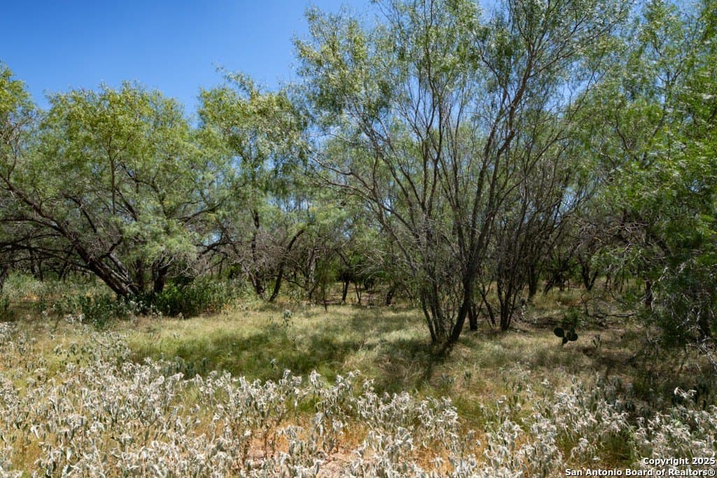 71.5 acres in Bexar County - photo 15