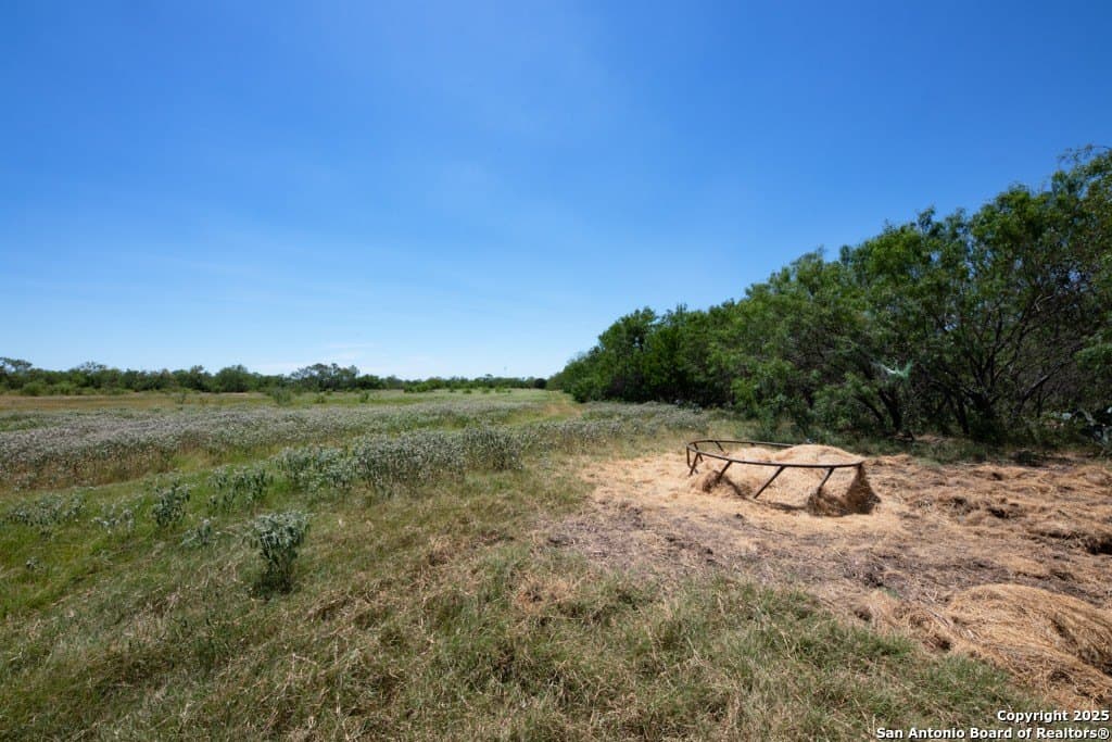 71.5 acres in Bexar County - photo 29
