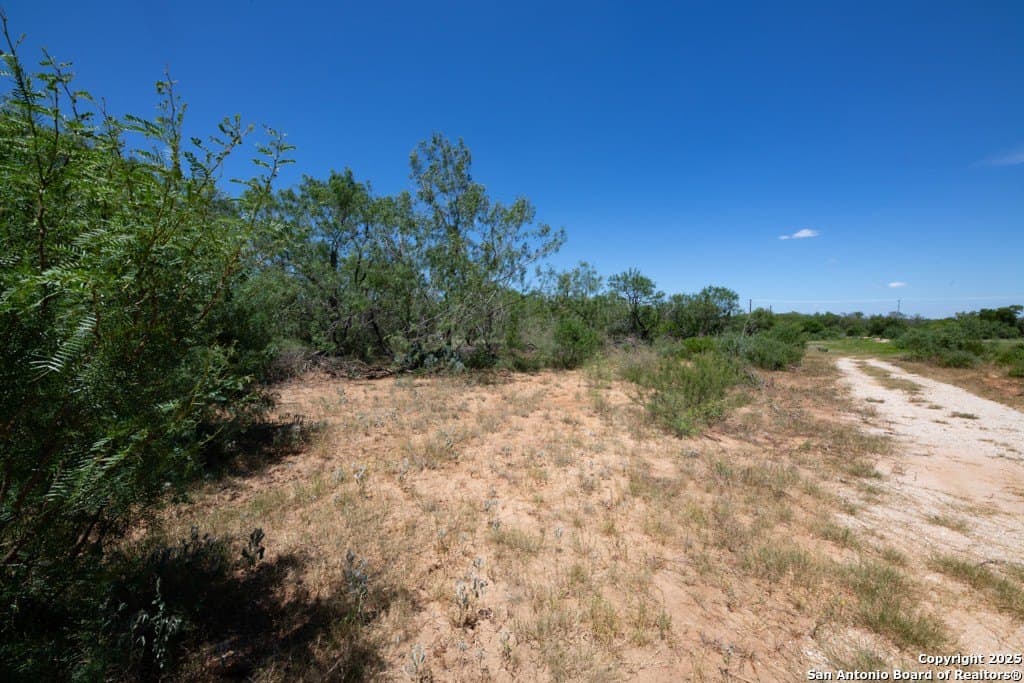 71.5 acres in Bexar County - photo 44