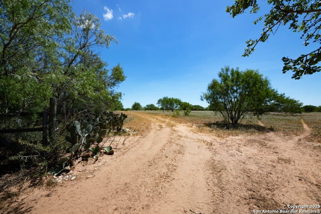 71.5 acres in Bexar County - photo 34