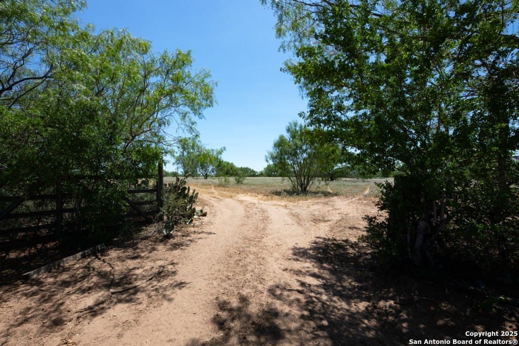71.5 acres in Bexar County - photo 42