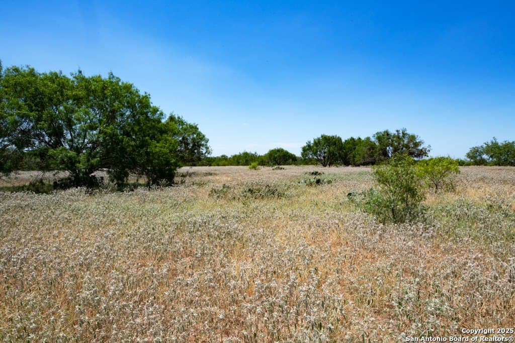71.5 acres in Bexar County - photo 30