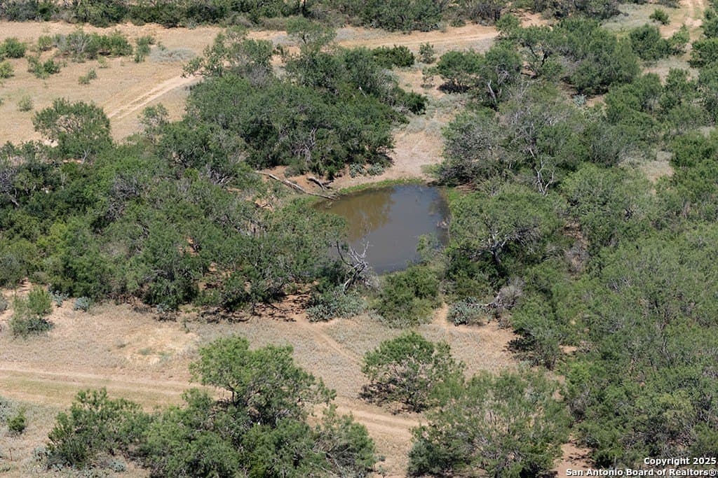 71.5 acres in Bexar County - photo 39
