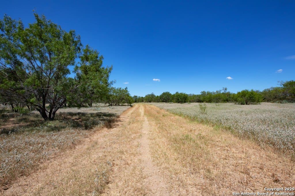 71.5 acres in Bexar County - photo 24