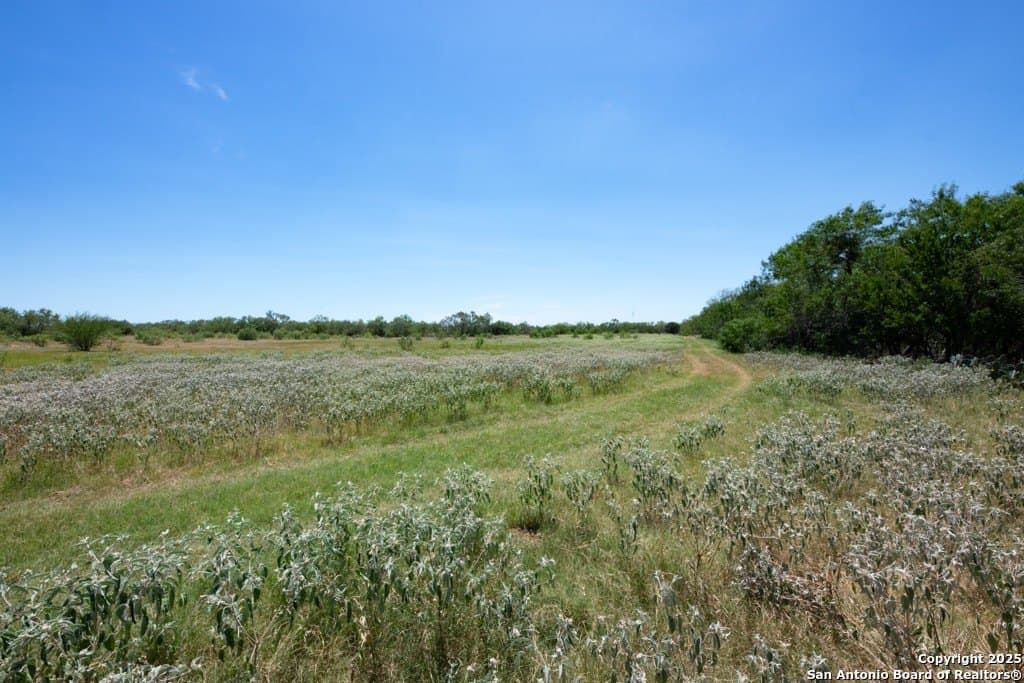 71.5 acres in Bexar County - photo 36