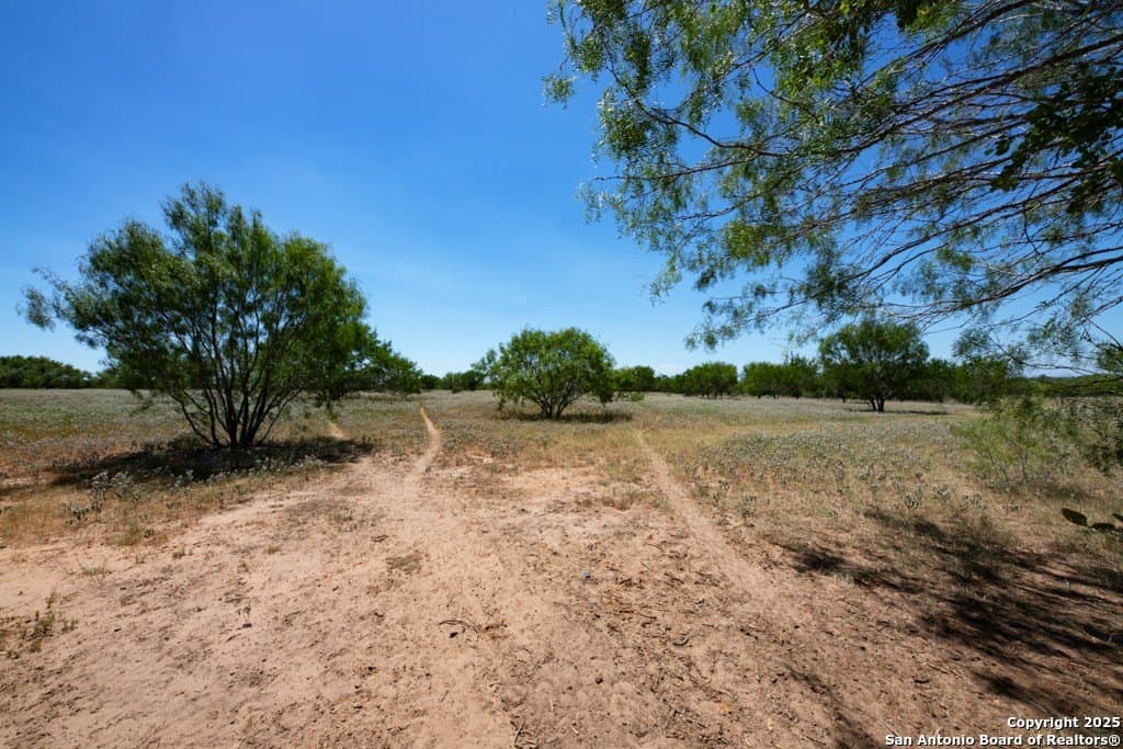 71.5 acres in Bexar County - photo 33