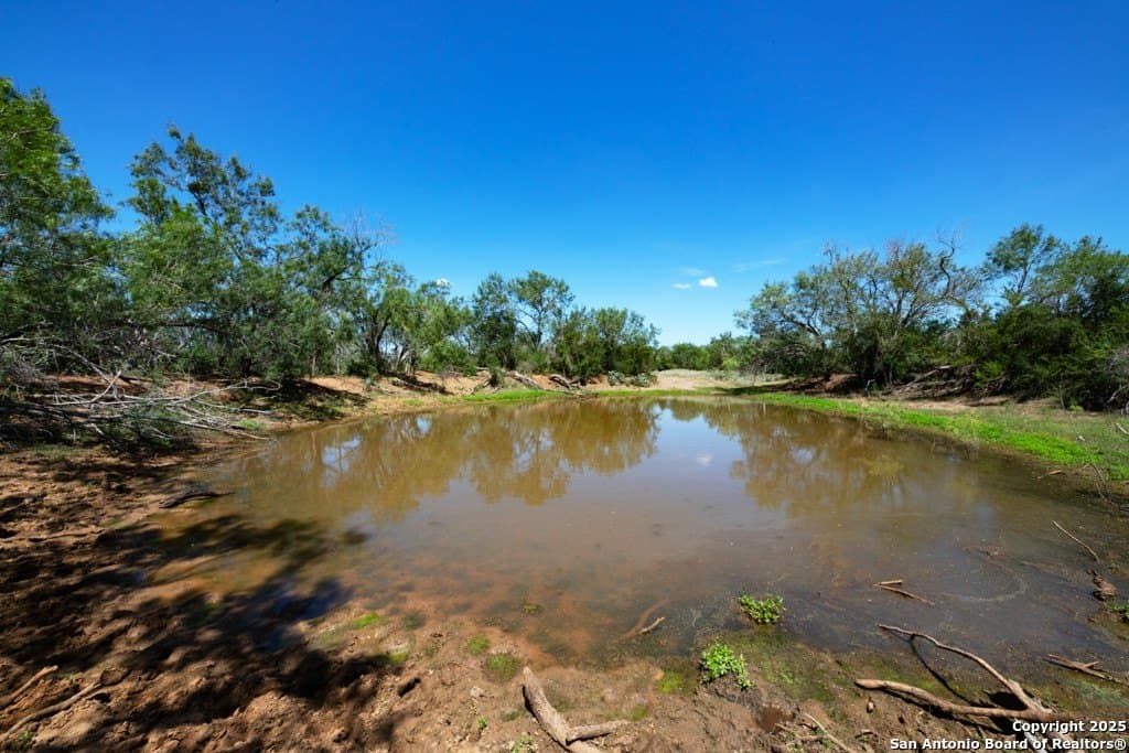 71.5 acres in Bexar County - photo 31