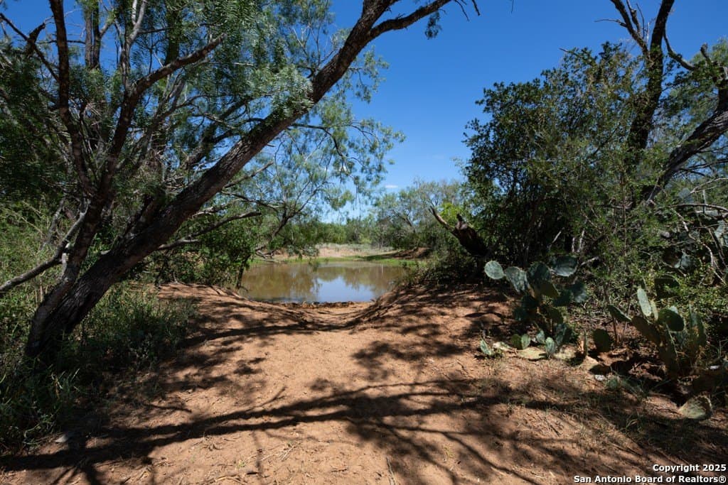 71.5 acres in Bexar County - photo 25