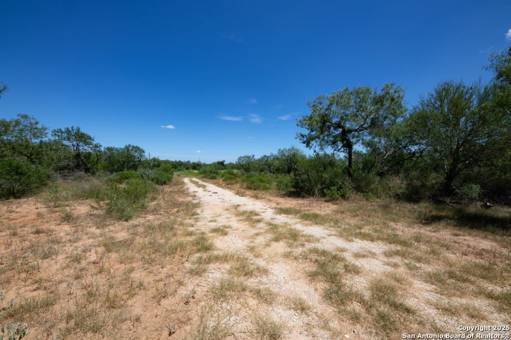 71.5 acres in Bexar County - photo 41