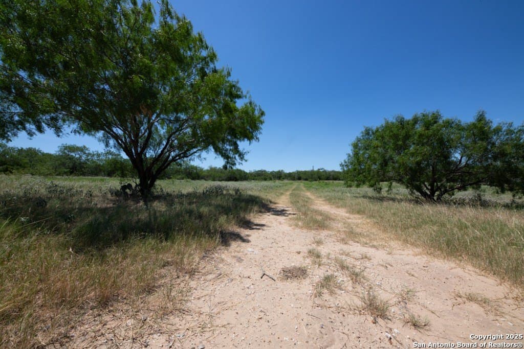 71.5 acres in Bexar County - photo 32
