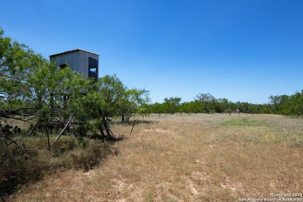 71.5 acres in Bexar County - photo 40