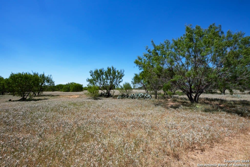 71.5 acres in Bexar County - photo 10