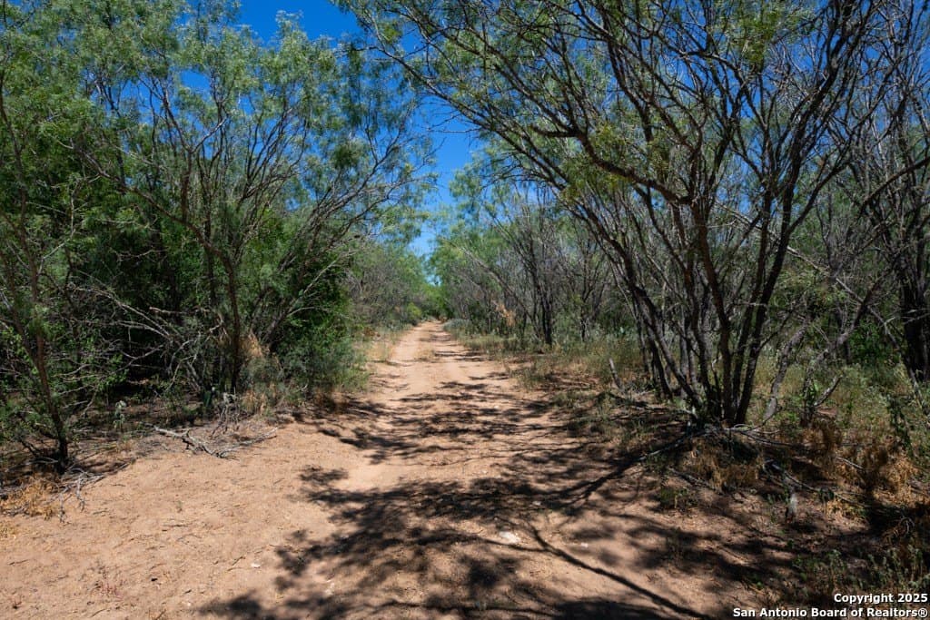 71.5 acres in Bexar County - photo 11