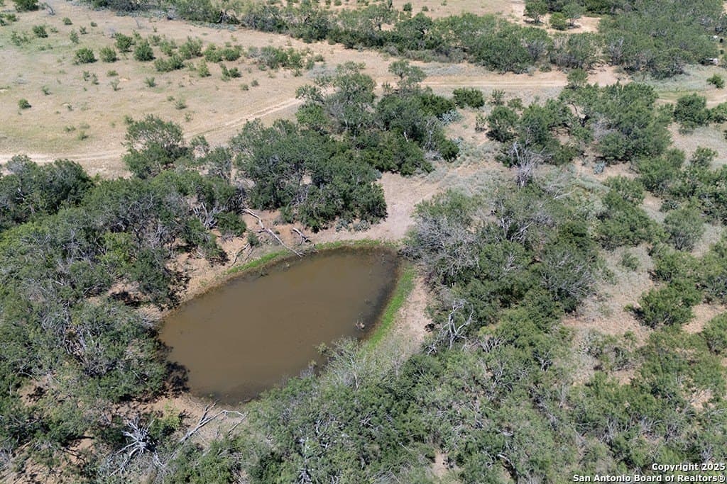 71.5 acres in Bexar County - photo 9